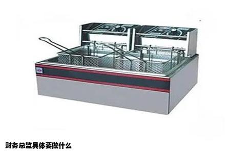 财务总监具体要做什么
