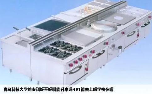 青岛科技大学的专科好不好啊能升本吗491能去上吗学校在哪