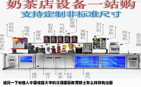 请问一下知情人中国传媒大学的汉语国际教育硕士怎么样呀有出国