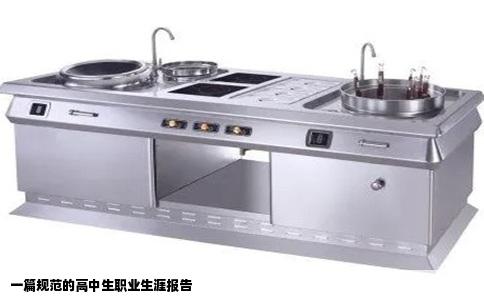 一篇规范的高中生职业生涯报告