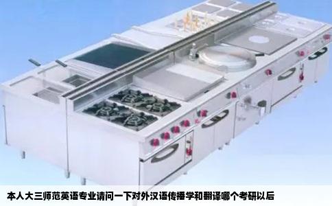 本人大三师范英语专业请问一下对外汉语传播学和翻译哪个考研以后