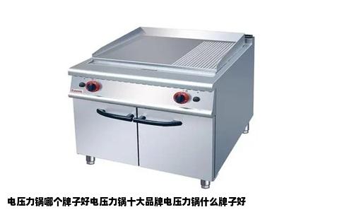 电压力锅哪个牌子好电压力锅十大品牌电压力锅什么牌子好