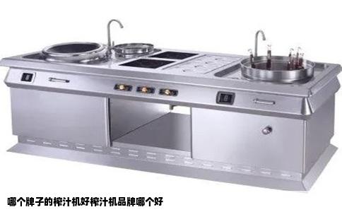 哪个牌子的榨汁机好榨汁机品牌哪个好