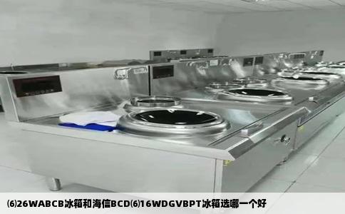 ⑹26WABCB冰箱和海信BCD⑹16WDGVBPT冰箱选哪一个好