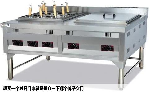 想买一个对开门冰箱是推介一下哪个牌子实用