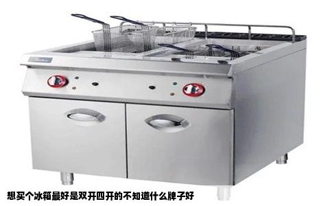想买个冰箱最好是双开四开的不知道什么牌子好