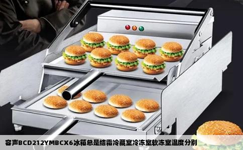 容声BCD212YMBCX6冰箱总是结霜冷藏室冷冻室软冻室温度分别
