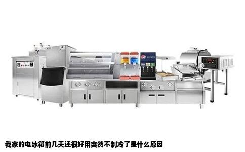 我家的电冰箱前几天还很好用突然不制冷了是什么原因