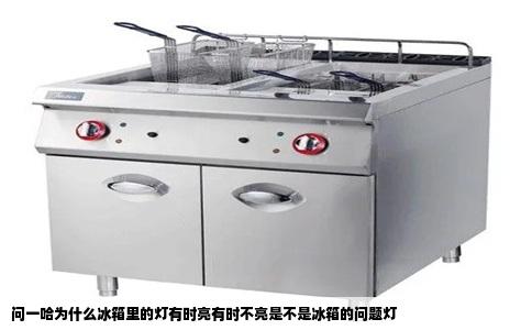 问一哈为什么冰箱里的灯有时亮有时不亮是不是冰箱的问题灯