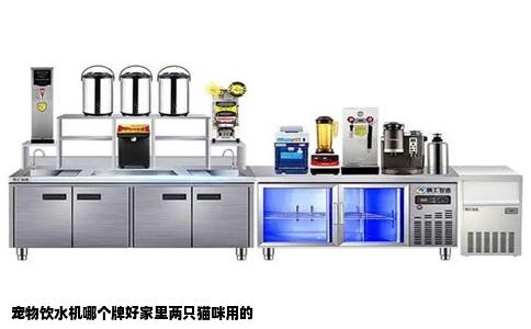 宠物饮水机哪个牌好家里两只猫咪用的
