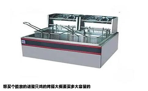 想买个能放的进整只鸡的烤箱大概要买多大容量的