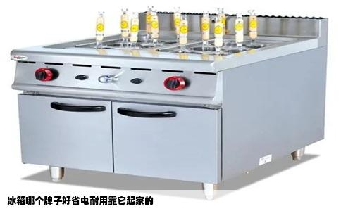 冰箱哪个牌子好省电耐用靠它起家的