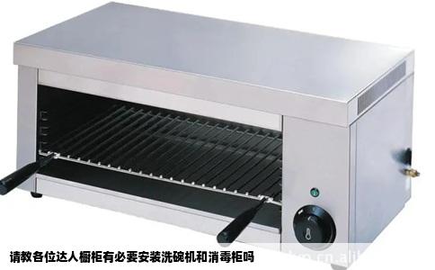 请教各位达人橱柜有必要安装洗碗机和消毒柜吗
