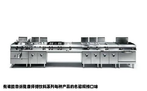 有谁能告诉我康师傅饮料系列每种产品的名称规格口味
