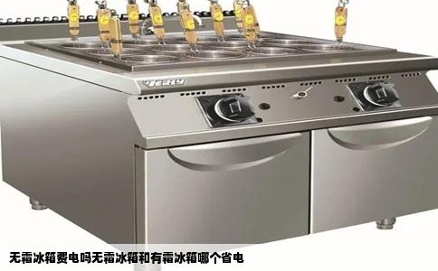 无霜冰箱费电吗无霜冰箱和有霜冰箱哪个省电