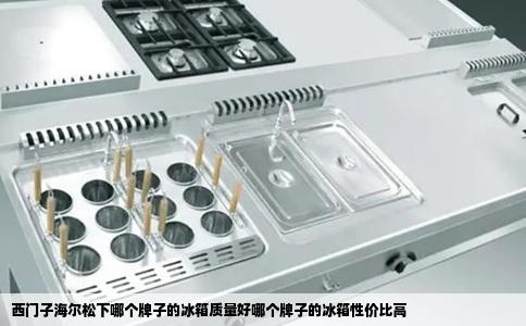 西门子海尔松下哪个牌子的冰箱质量好哪个牌子的冰箱性价比高