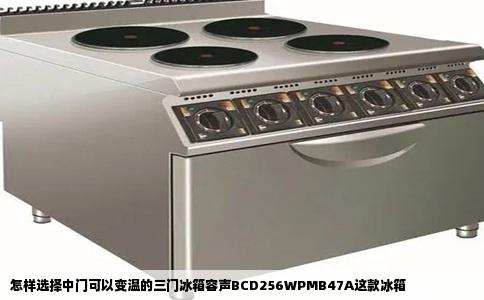 怎样选择中门可以变温的三门冰箱容声BCD256WPMB47A这款冰箱