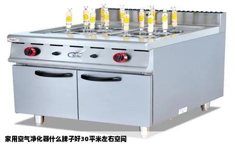家用空气净化器什么牌子好30平米左右空间