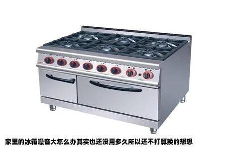 家里的冰箱噪音大怎么办其实也还没用多久所以还不打算换的想想