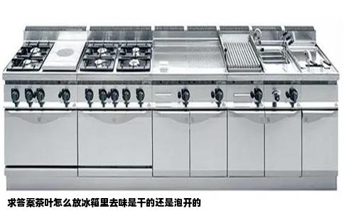 求答案茶叶怎么放冰箱里去味是干的还是泡开的
