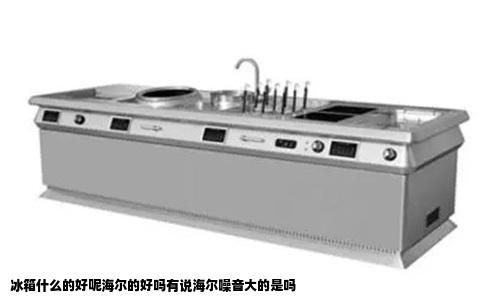 冰箱什么的好呢海尔的好吗有说海尔噪音大的是吗
