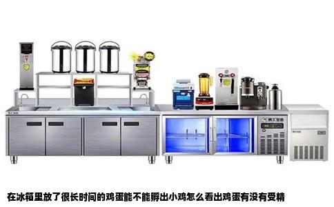 在冰箱里放了很长时间的鸡蛋能不能孵出小鸡怎么看出鸡蛋有没有受精