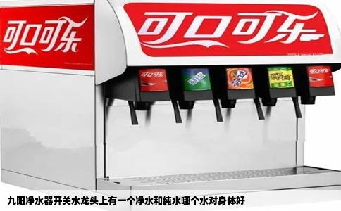九阳净水器开关水龙头上有一个净水和纯水哪个水对身体好