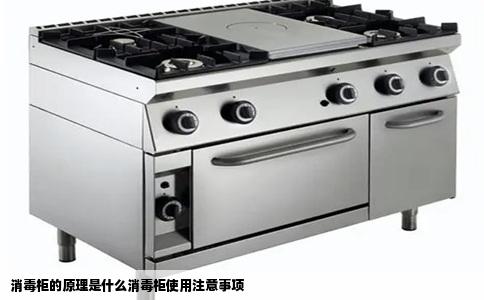 消毒柜的原理是什么消毒柜使用注意事项