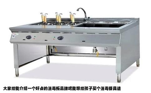 大家给我介绍一个好点的消毒柜品牌吧我想给孩子买个消毒餐具请