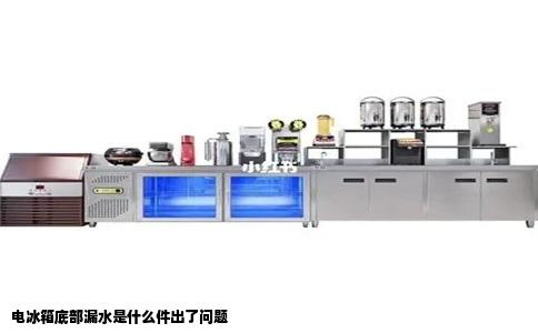 电冰箱底部漏水是什么件出了问题