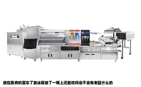 放在厨房的菜忘了放冰箱放了一晚上还能吃吗会不会有老鼠什么的