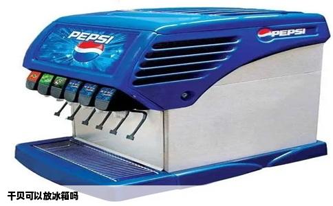 干贝可以放冰箱吗