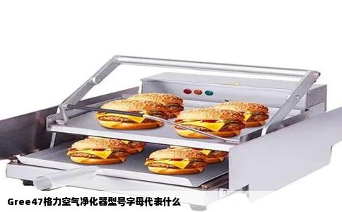 Gree47格力空气净化器型号字母代表什么