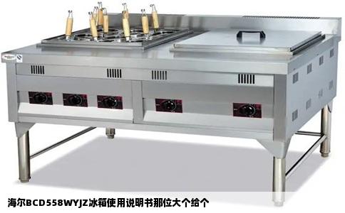 海尔BCD558WYJZ冰箱使用说明书那位大个给个