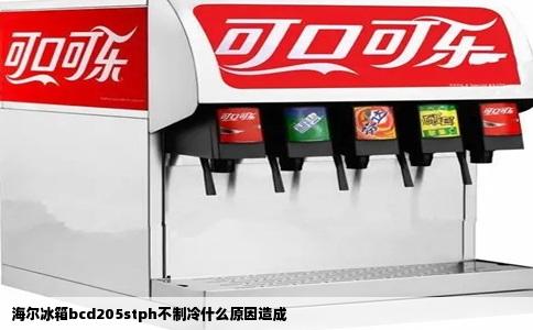 海尔冰箱bcd205stph不制冷什么原因造成