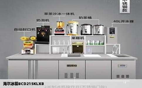 海尔冰箱BCD215KLXB