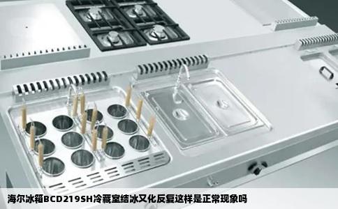 海尔冰箱BCD219SH冷藏室结冰又化反复这样是正常现象吗
