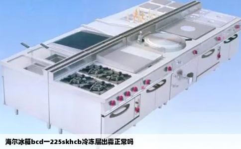 海尔冰箱bcd一225skhcb冷冻层出霜正常吗