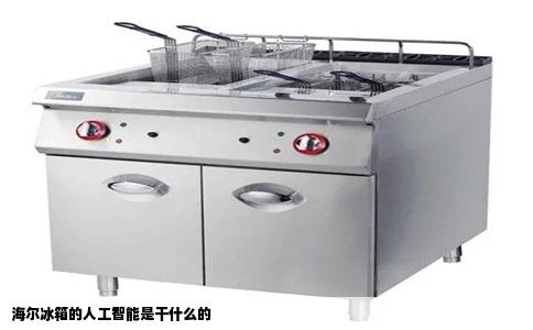 海尔冰箱的人工智能是干什么的