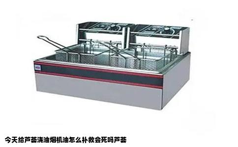 今天给芦荟浇油烟机油怎么补救会死吗芦荟