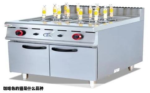 咖啡色的猫是什么品种