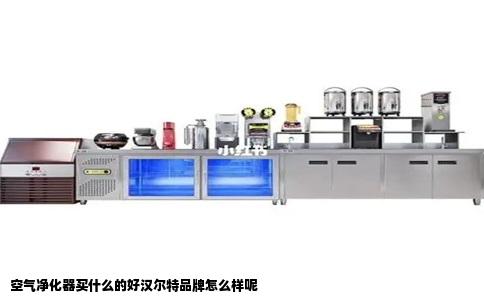 空气净化器买什么的好汉尔特品牌怎么样呢