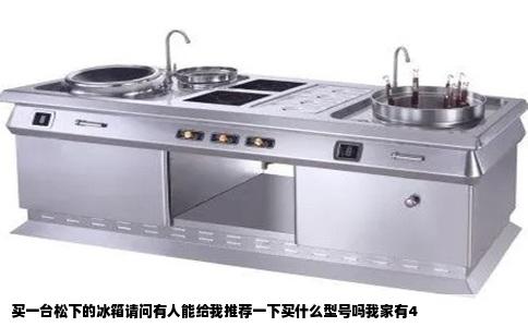 买一台松下的冰箱请问有人能给我推荐一下买什么型号吗我家有4