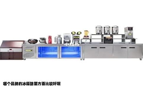 哪个品牌的冰箱除菌方面比较好啊