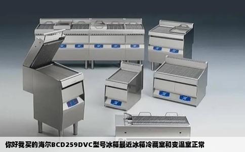 你好我买的海尔BCD259DVC型号冰箱最近冰箱冷藏室和变温室正常