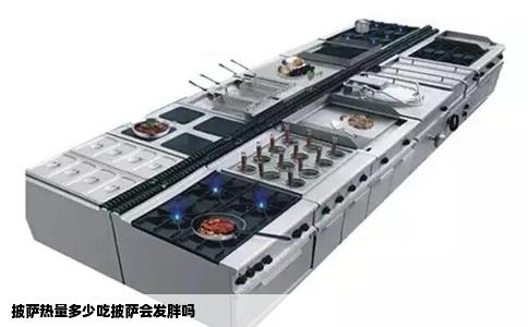 披萨热量多少吃披萨会发胖吗
