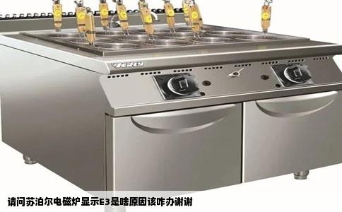 请问苏泊尔电磁炉显示E3是啥原因该咋办谢谢