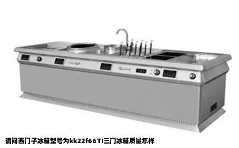 请问西门子冰箱型号为kk22f66TI三门冰箱质量怎样