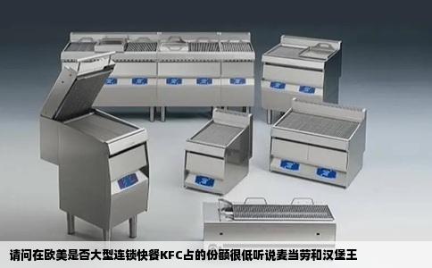 请问在欧美是否大型连锁快餐KFC占的份额很低听说麦当劳和汉堡王
