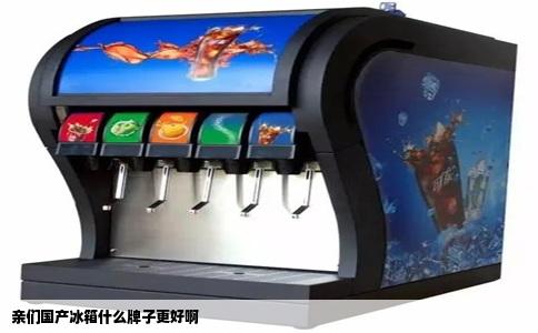 亲们国产冰箱什么牌子更好啊